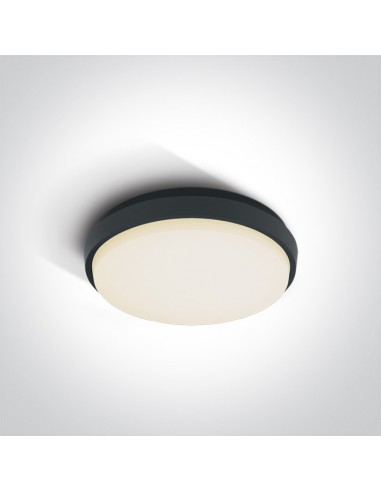 Fasideri plafon antracytowy LED IP54 67362/AN/W OneLight