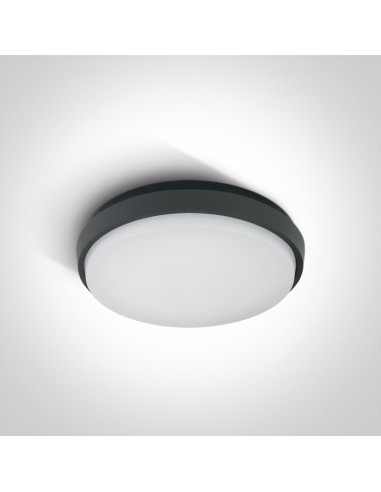 Fasideri plafon antracytowy LED IP54 67363/AN/W OneLight