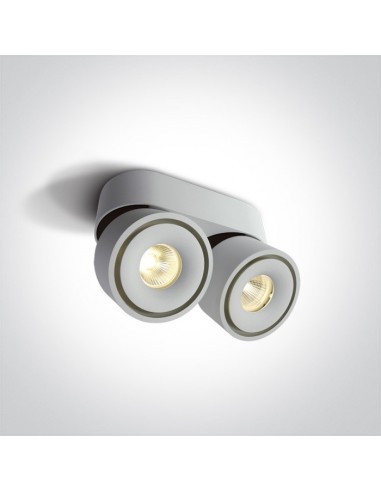 Oprawa regulowana LED Psaru 2 punktowa biała spot 12208LA/W/W - OneLight