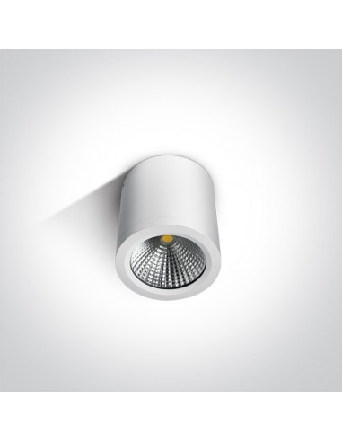 Oprawa sufitowa LED 10W Titani IP54 biała tuba 67380/W/W - OneLight