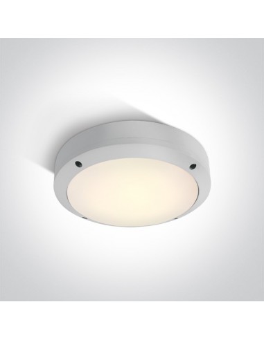 Oprawa sufitowa zewnętrzna LED Akteo 10W biała IP54 67442/W/W - OneLight